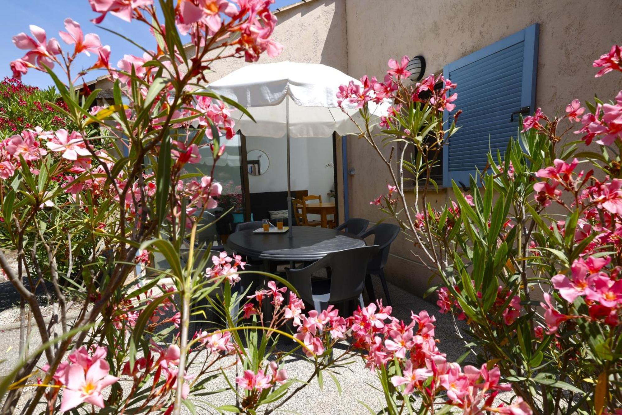 Village Vacances De Ramatuelle - Le Sentier Des Pins Eksteriør billede