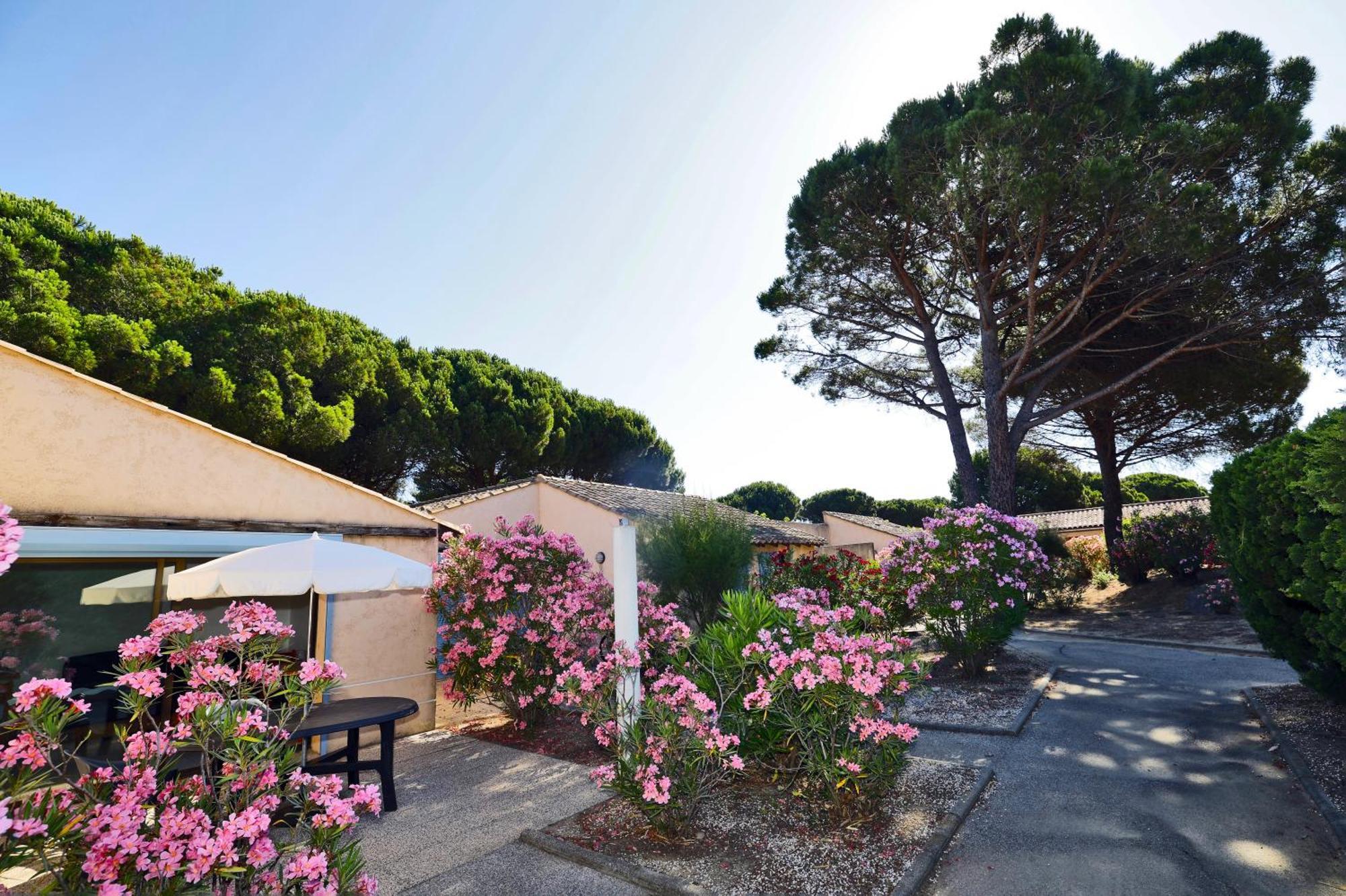 Village Vacances De Ramatuelle - Le Sentier Des Pins Eksteriør billede