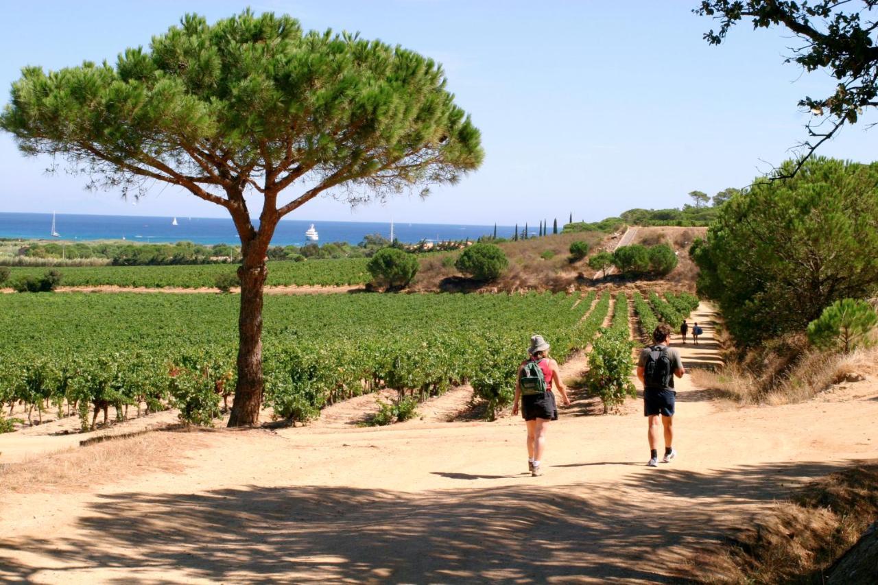 Village Vacances De Ramatuelle - Le Sentier Des Pins Eksteriør billede