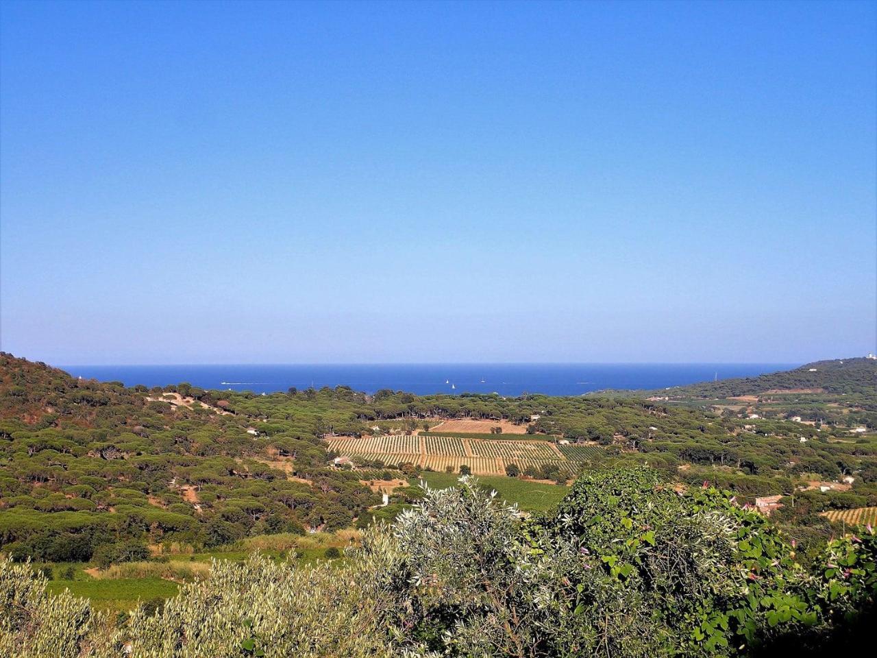 Village Vacances De Ramatuelle - Le Sentier Des Pins Eksteriør billede
